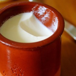 Homemade Yogurt
