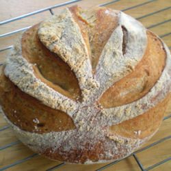 Artisan Bread in 5 Minutes a Day