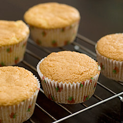 Vanilla Cupcakes