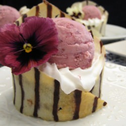 Tuile Hugs with Homemade Ice Cream