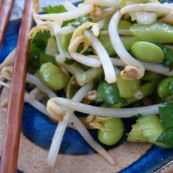 Edamame and Celery Slaw