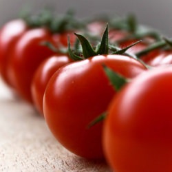 Cherry Tomato Tart