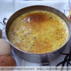 Maple Vanilla Bean Baked Custard