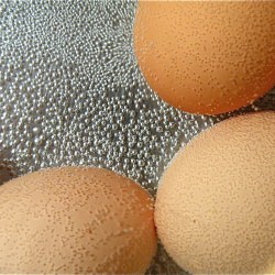 Perfectly Cooked Hard-Boiled Eggs