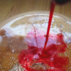 Beet Bubbly