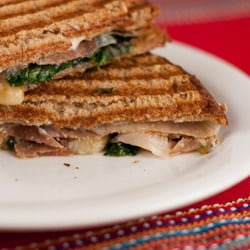 Panini with Prosciutto and Fontina