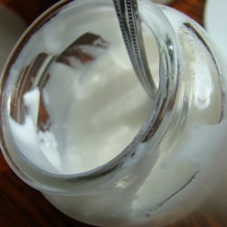 Homemade Yogurt