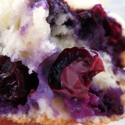 Blueberry Muffins