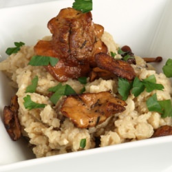 Mushroom Risotto