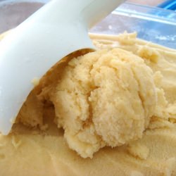 Apple and Custard Sorbet