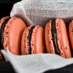 Macarons 1