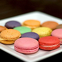 One Dollar Macaron