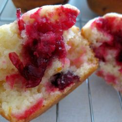 Cranberry Orange Muffins