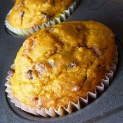 Double Chip Pumpkin Cinnamon Muffin
