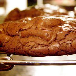 Outrageous Chocolate Cookies