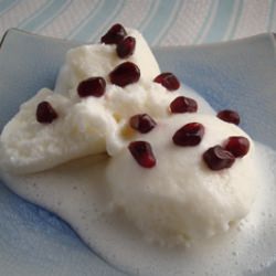 Yogurt Sorbet