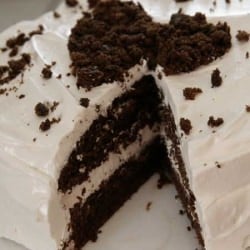 Devil’s Food White Out Cake