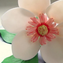 Gumpaste Magnolia Blossom