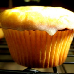 Lemony Cupcakes