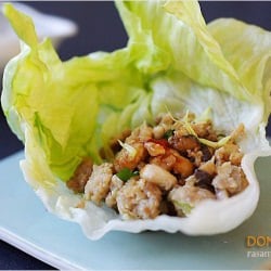 Lettuce-wrapped Chicken