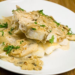 John Dory & Creamy Mushroom Sauce