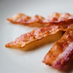 Bacon