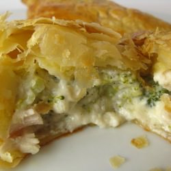 Chicken & Broccoli Hot Pockets
