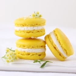 Meyer Lemon Macarons