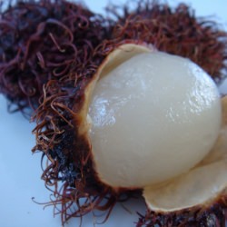 Rambutan