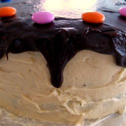 Chocolate Cake with Peanut Butter