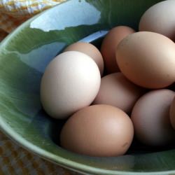 Brown Eggs