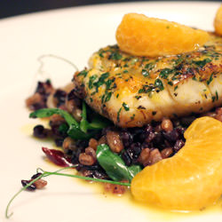Snapper with Farro, Black Rice