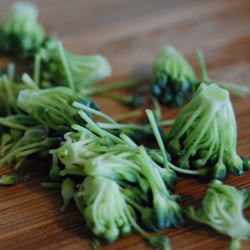 Tiny Broccoli Tops