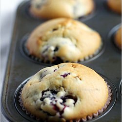Blackberry Muffins