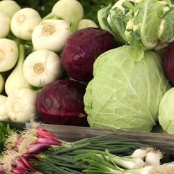 The Mediterranean Diet in Winter