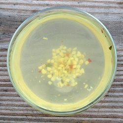 Don’t Toss that Pickle Juice!