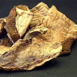 Porcini Powder
