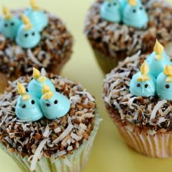 Baby Bluebird Cupcakes