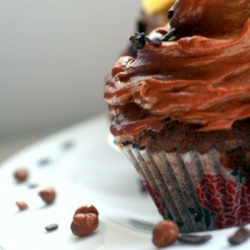 Chocolate Cupcakes!!