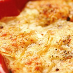 Classic Potato Gratin