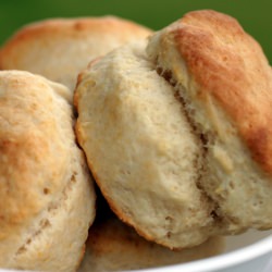 Buttermilk Biscuits