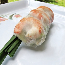 Vietnamese Rice Paper Spring Roll