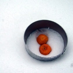 Clementine Cupcakes