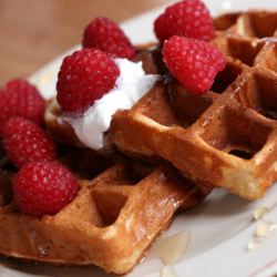 Honey Yogurt Waffles