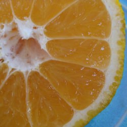 Ugli Fruit