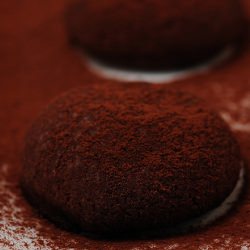 Cocoa Charms