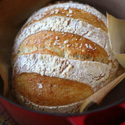 Dutch Oven Bread