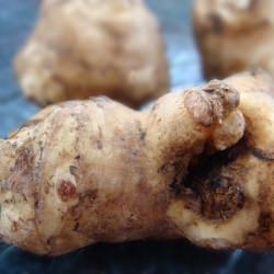 Sunchoke