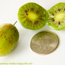 Kiwiberry