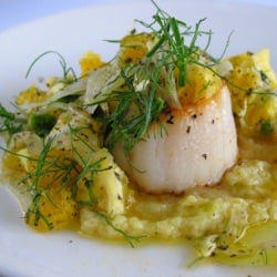 Fennel and Orange Scallops